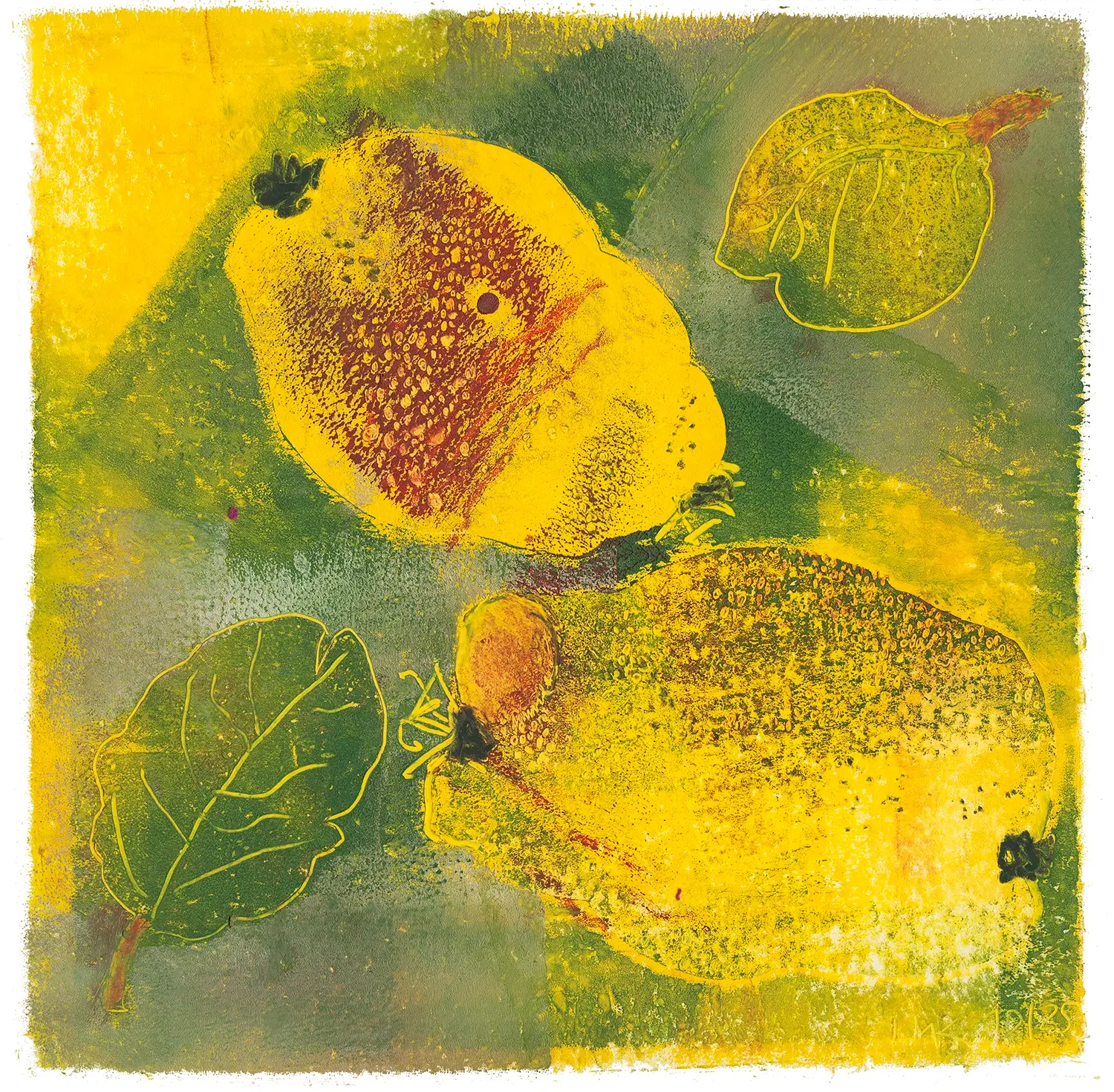 "Quitten 2" Kunstdruck