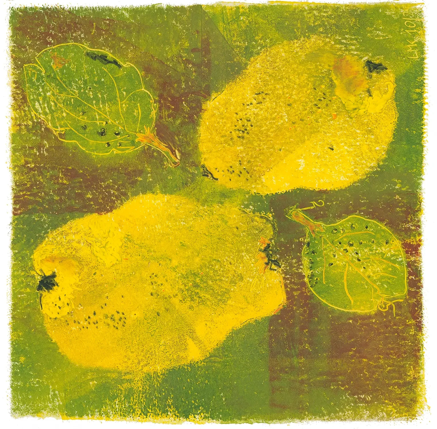 "Quitten 3" Kunstdruck