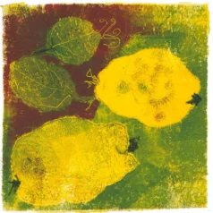 "Quitten 1" Kunstdruck